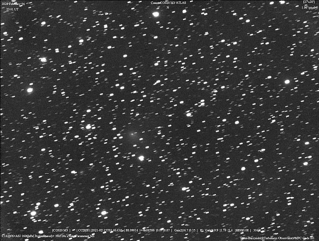 C/2020 M3 (ATLAS) 2021-Feb-16 Denis Buczynski