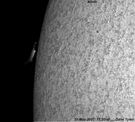 sun 31-3-07 1120 limb and phenomena