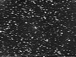156P/Russell-LINEAR 2021-Mar-05 Denis Buczynski