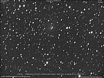 C/2021 A2 (NEOWISE) 2021-Feb-14 Denis Buczynski
