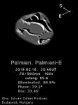 Palmieri 2019-02-16 2038-2055-IZF