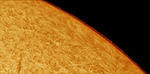 sun 6-3-07 1208 limbscape