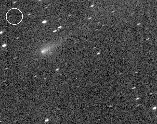C/2012 S1 (ISON) 2013-Oct-10 Carl Hergenrother