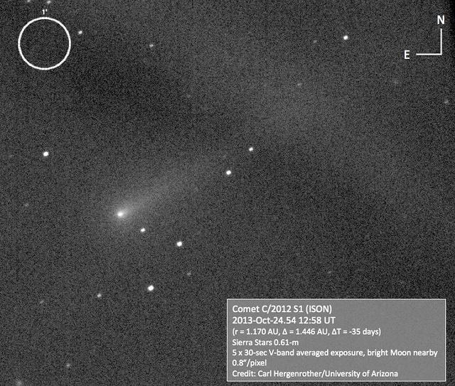 C/2012 S1 (ISON) 2013-Oct-24 Carl Hergenrother