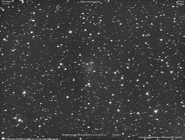 C/2020 M3 (ATLAS) 2021-Jan-30 Denis Buczynski