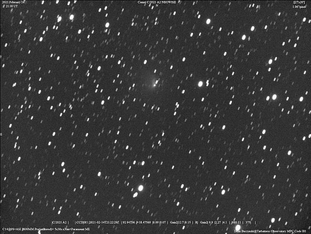 C/2021 A2 (NEOWISE) 2021-Feb-14 Denis Buczynski