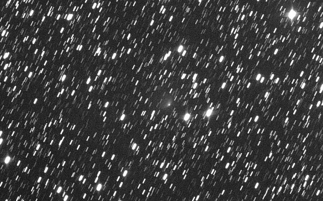C/2021 A2 (NEOWISE) 2021-Mar-06 Michael Jäger