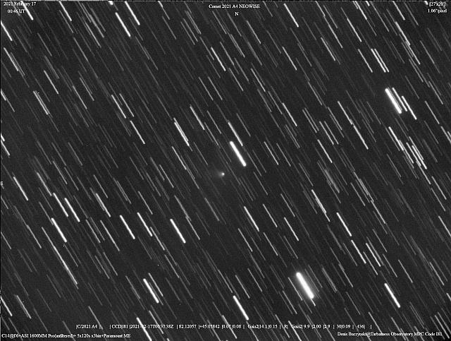 C/2021 A4 (NEOWISE) 2021-Feb-16 Denis Buczynski