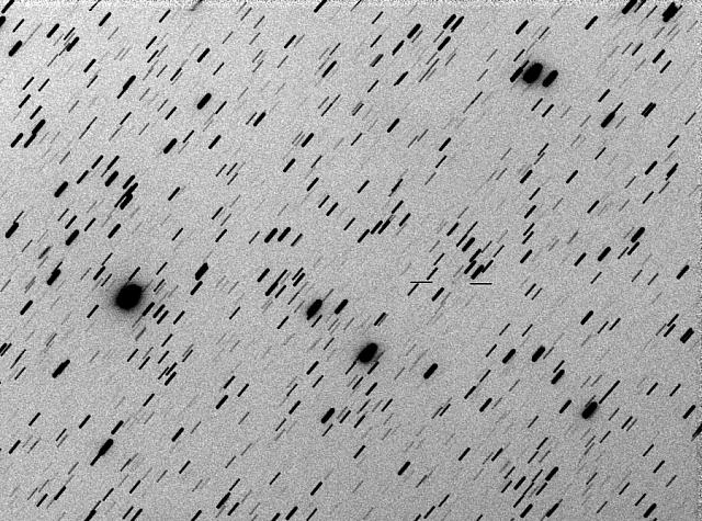 C/2021 A10 (NEOWISE) 2021-Feb-12 Michael Jäger