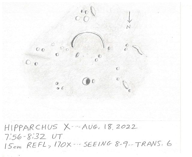 Hippachus X-2022-08-18-0756-0832-RH