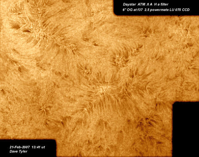 sun 21-2-07 1341 active region mont