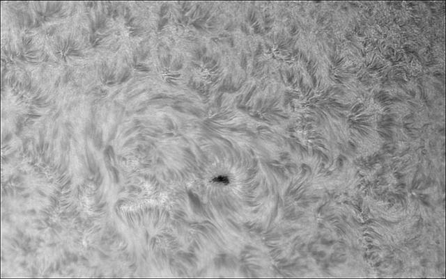 sol del 4 de marzo 2007-1jpg