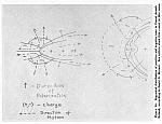 C/1956 R1 (Arend-Roland) Ion Distribution David Meisel