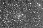 C/2021 A2 (NEOWISE) 2021-Feb-12 Michael Jäger