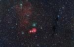C/2021 A2 (NEOWISE) 2021-Feb-14 Michael Jäger
