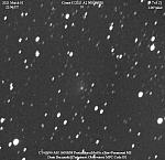 C/2021 A2 (NEOWISE) 2021-Mar-01 Denis Buczynski