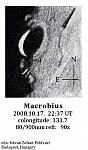 Macrobius 2008-10-17-2237-IZF