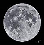 Full-Moon 2015-08-29-2000