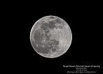 Full-Moon 2022-04-16-2030-RB