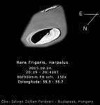 Mare-Frigoris Harpalus 2015-10-24-2041-IZF