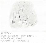 Hippalus 2021-05-23-0334-RH