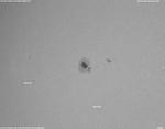 1144 30 sep 2010 tv102mm with 18mmep clear 007
